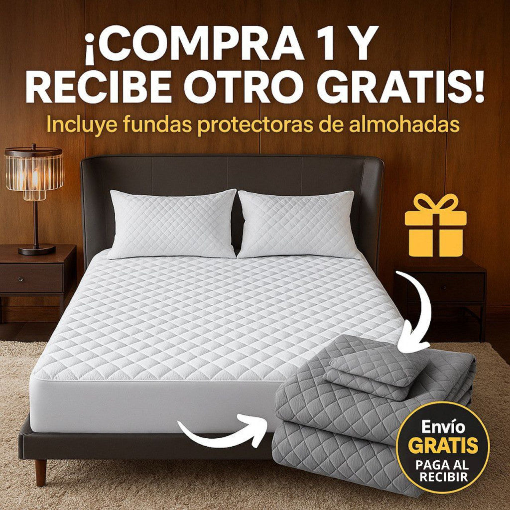 Protector premium con fundas