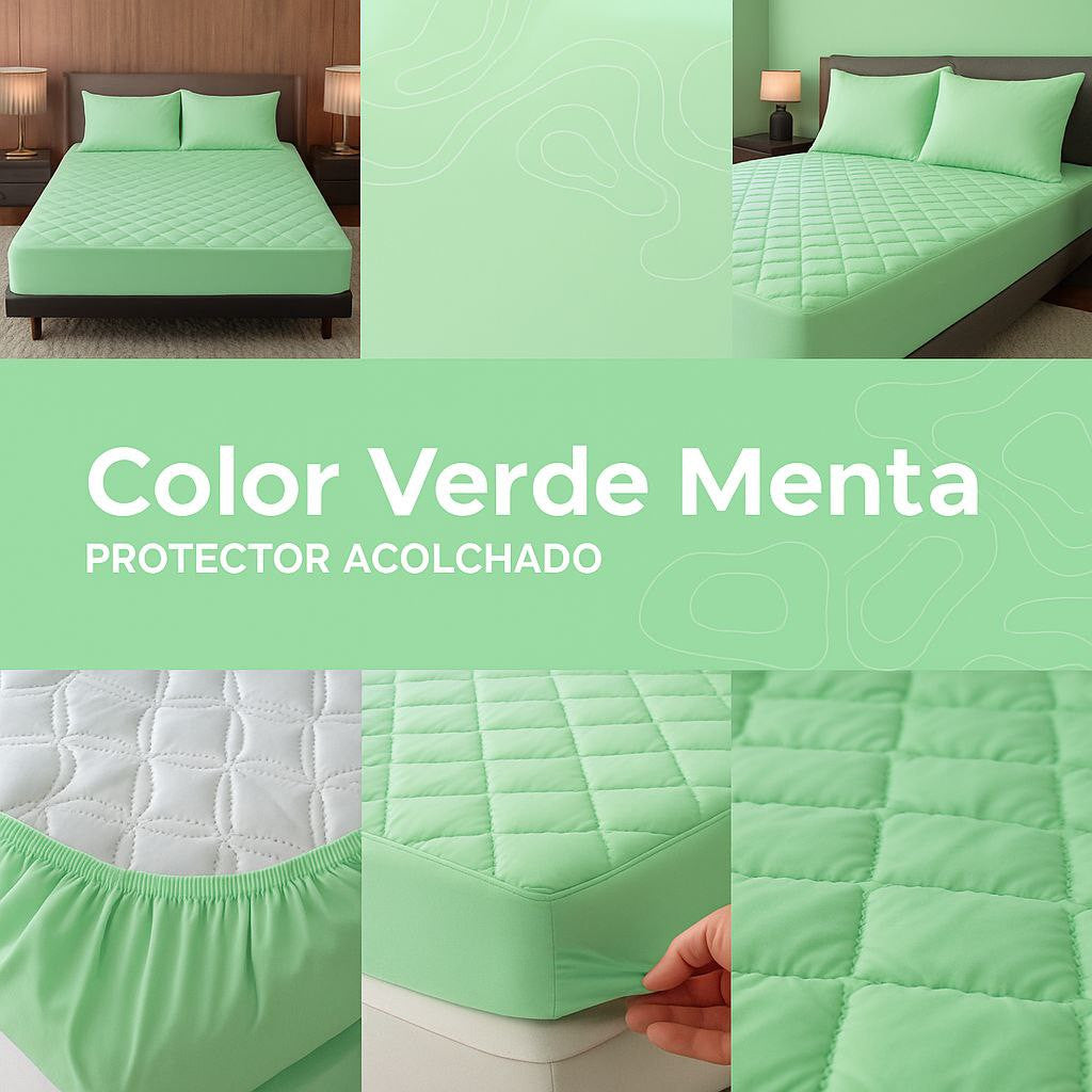 Protector premium con fundas