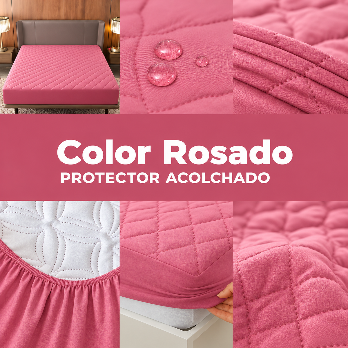 Protector premium con fundas