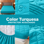 Protector premium con fundas